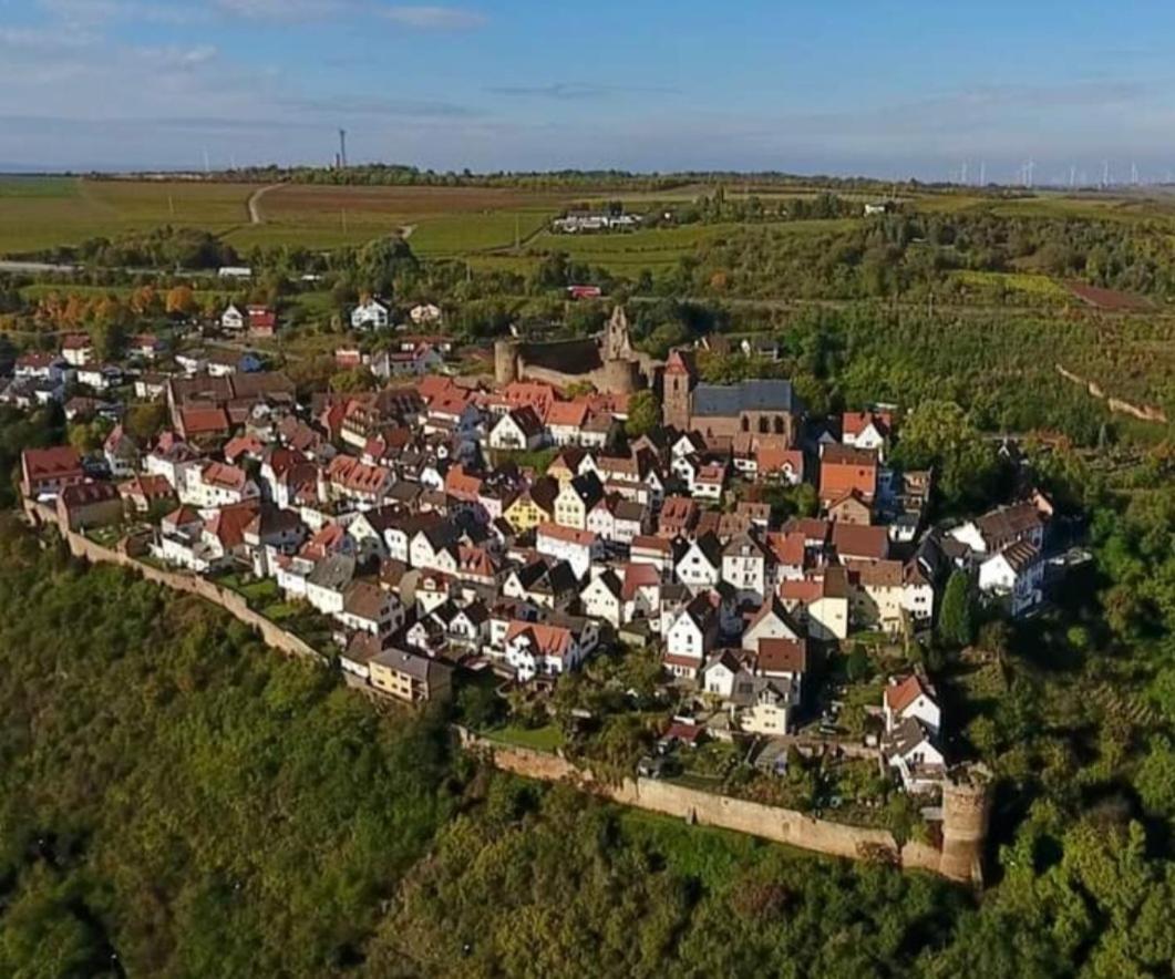 Landgasthaus "Zum Engel" Neuleiningen Екстер'єр фото